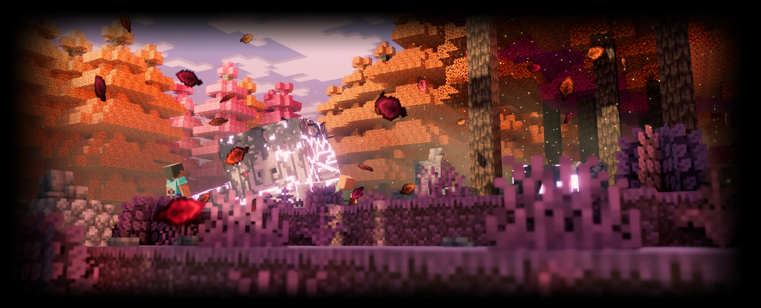 Main Banner